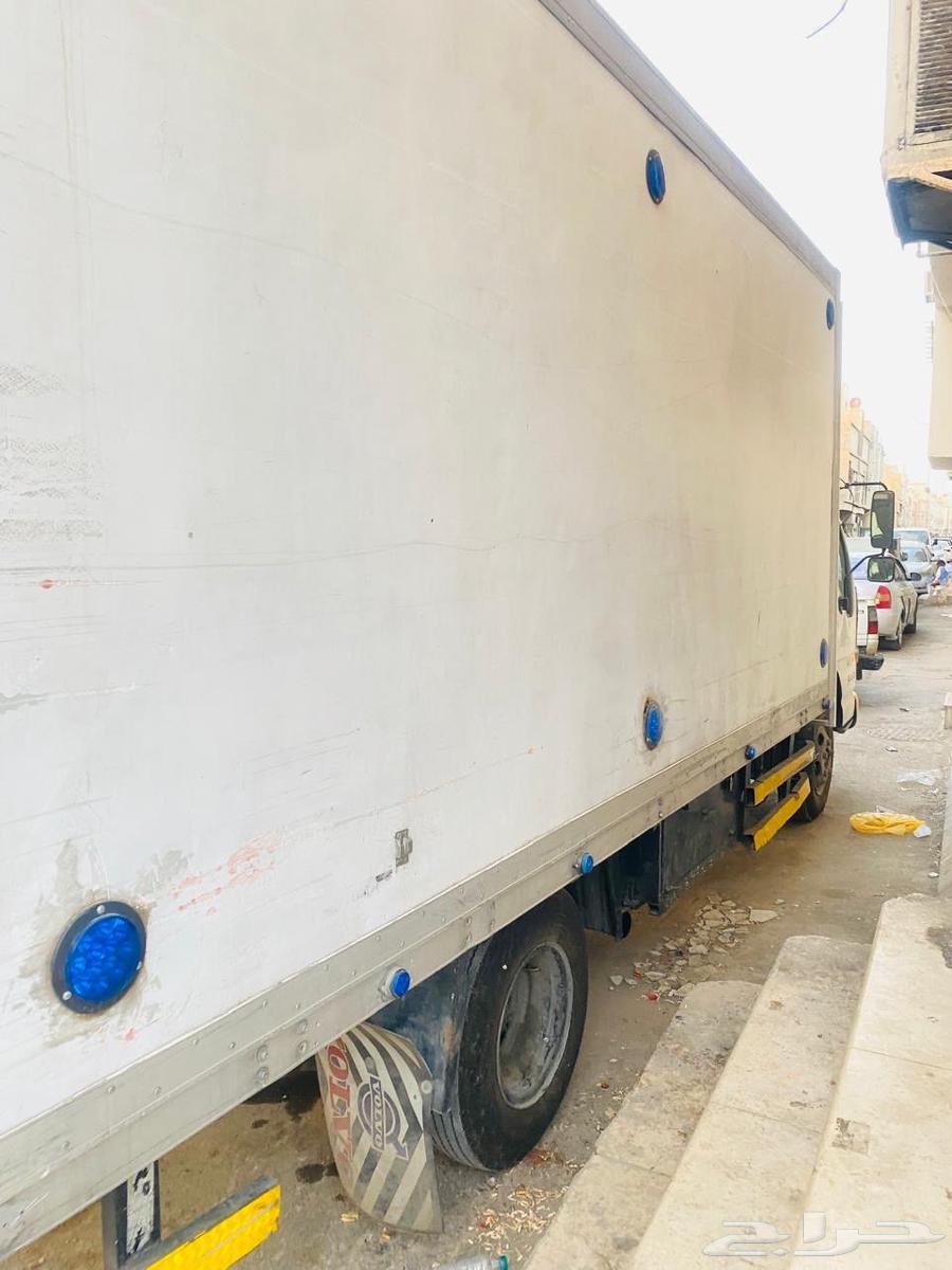 دينا ايسوزو 200463617977467009113