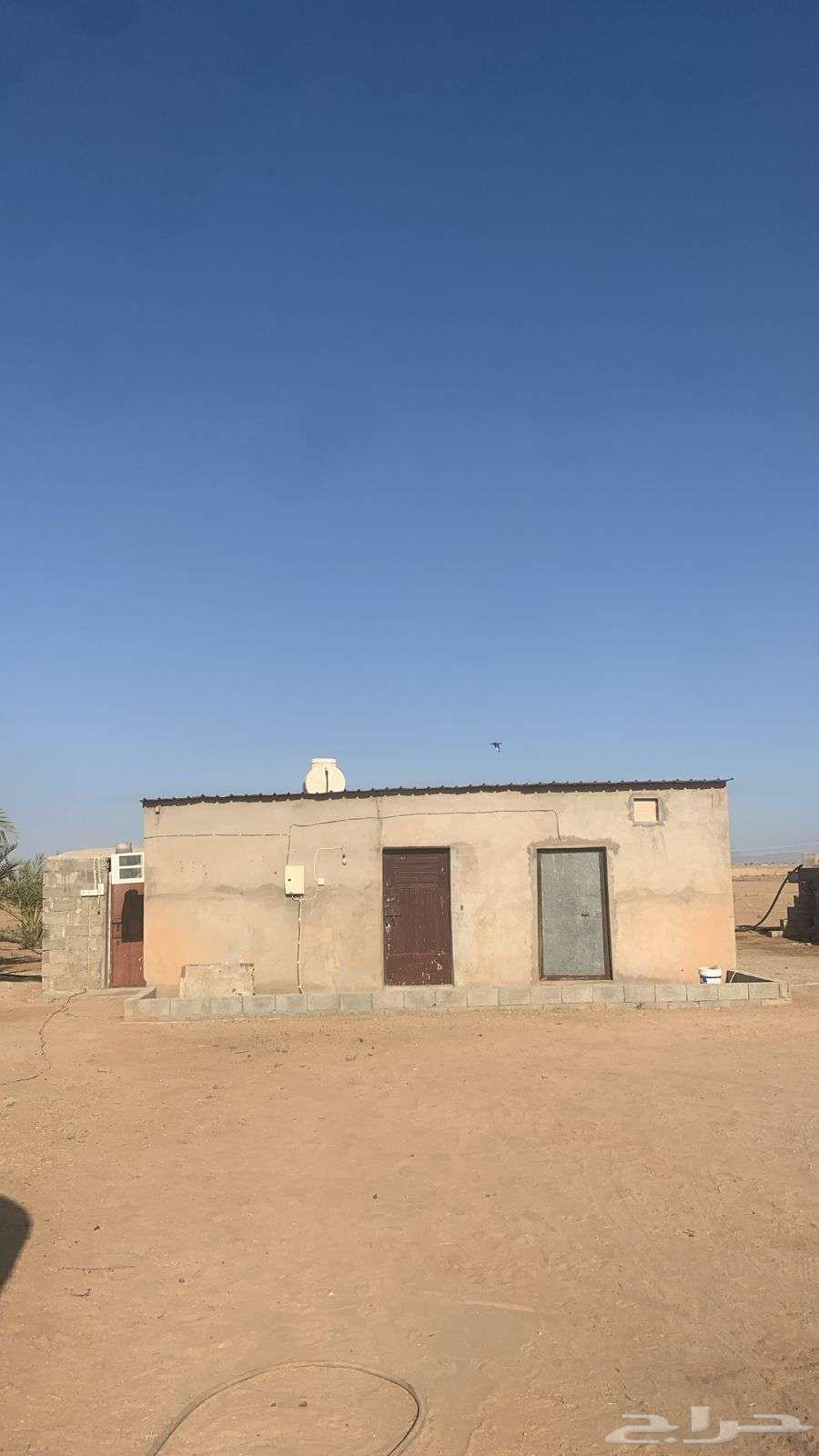 Farm and Rest House for Rent in Al-Ardaa, South of Qasr Bin Muqbil63611852923905111