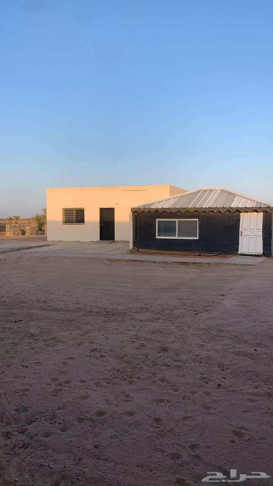 Farm and Rest House for Rent in Al-Ardaa, South of Qasr Bin Muqbil63611852923905114