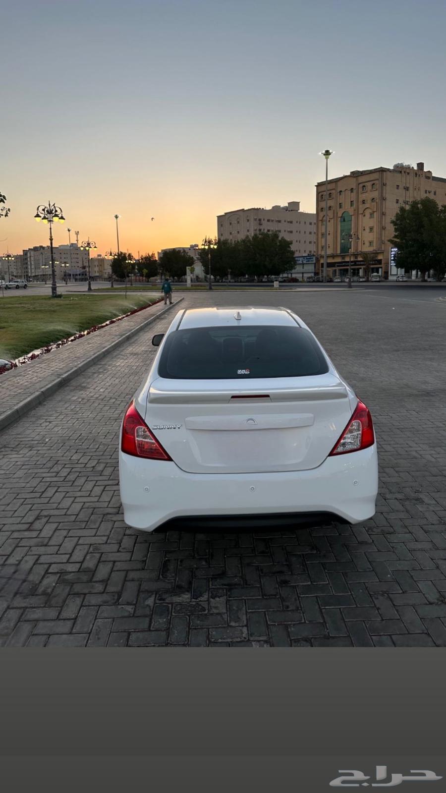 صني 202463622609056258112
