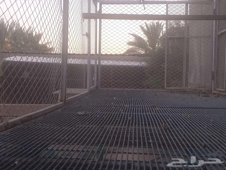شبك حديد مجلفن بالبلاستيك ( أرضيه )63618679568257111