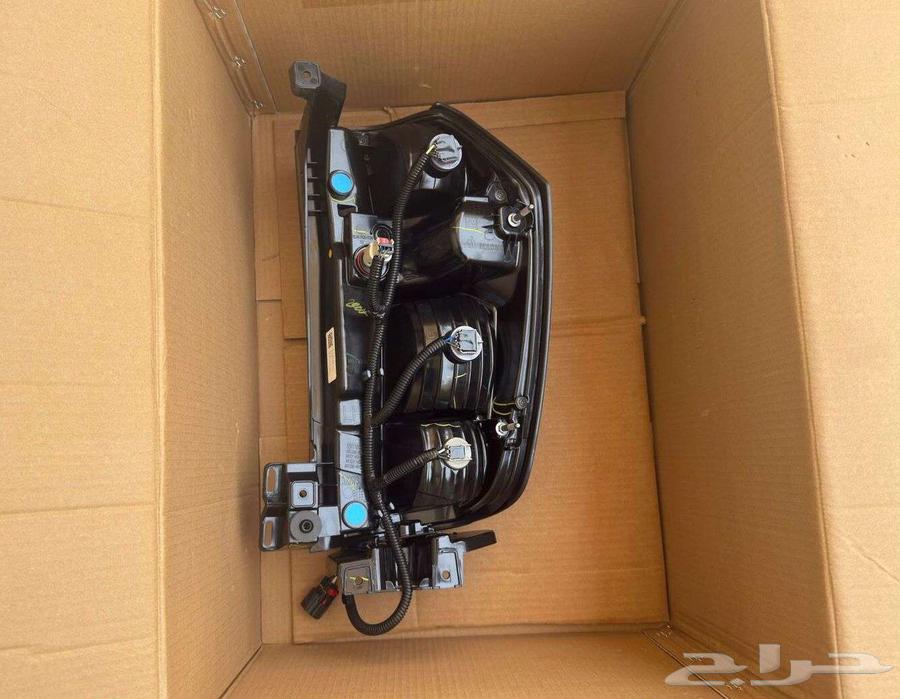 Original Throttle 2021 - 202463624422514689112