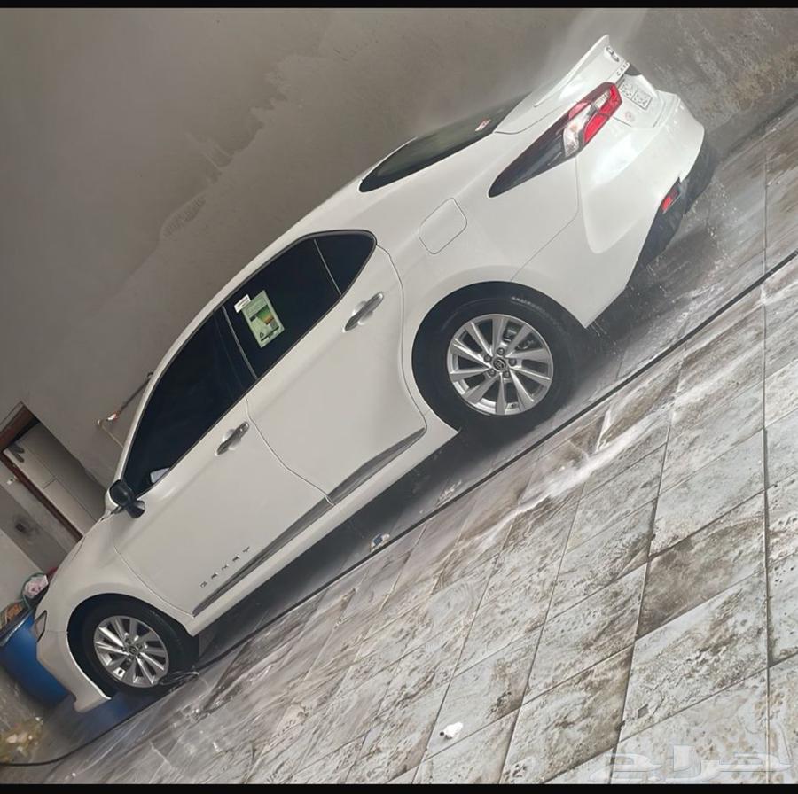 القنفذة63618452500482113