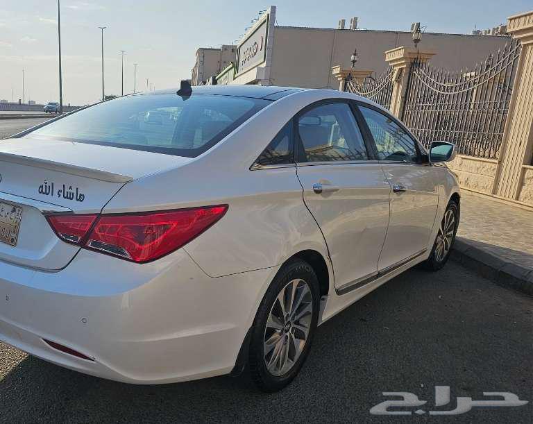 مدينة تبوك63654901345411113