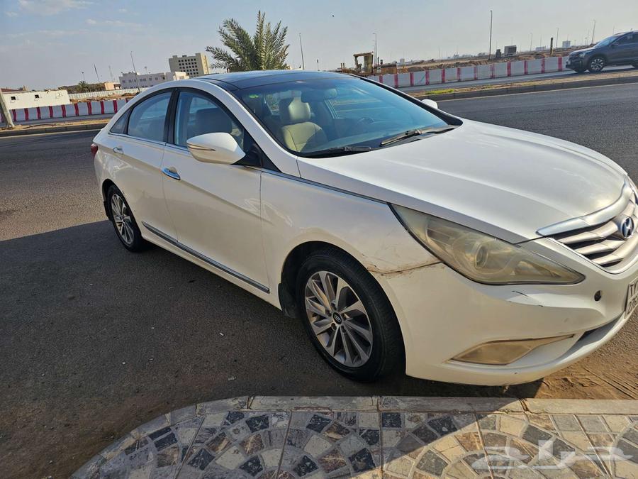 مدينة تبوك63654901345411111