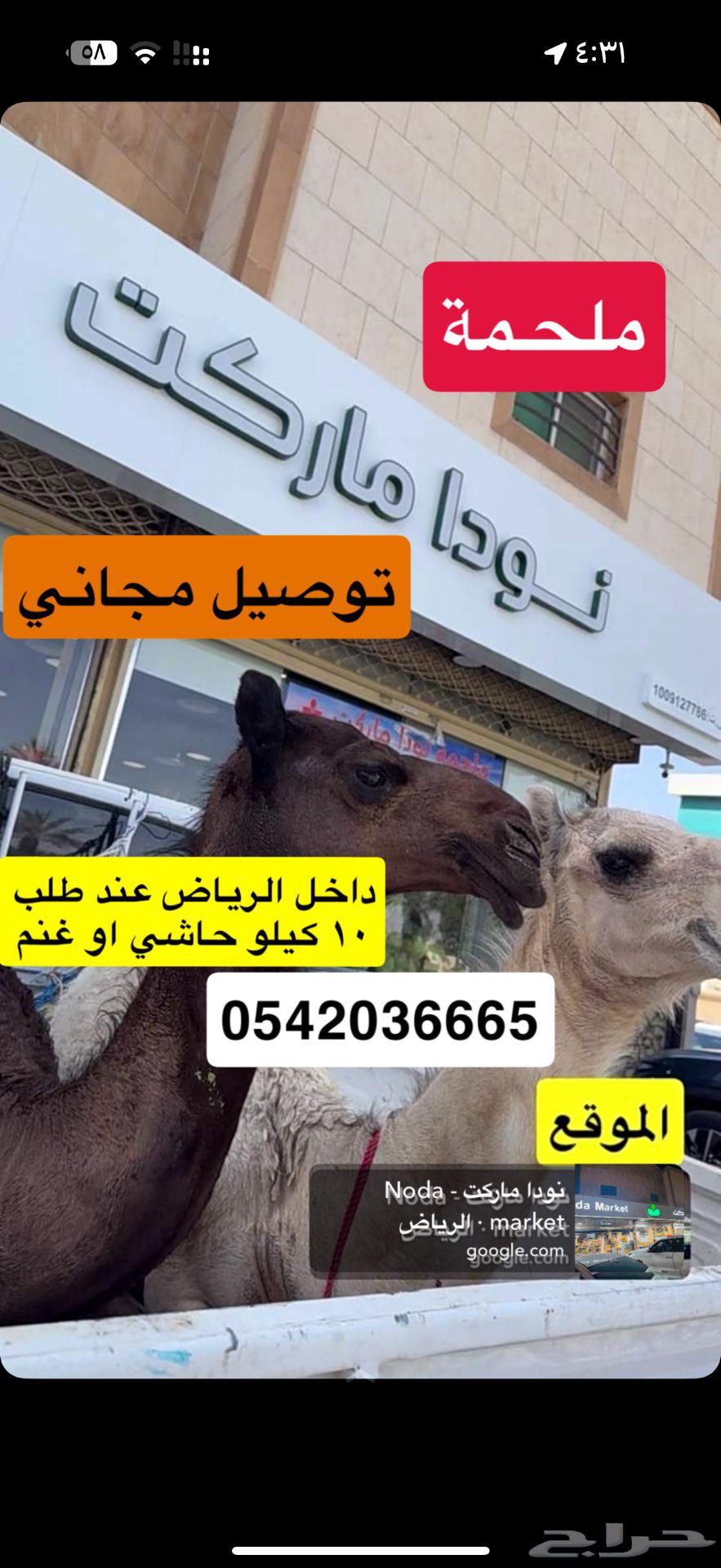 Fiery Al-Hashi Lamb Offer for Only 47 SAR63619443558787111