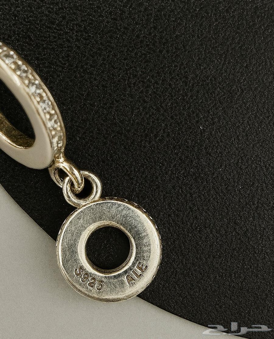 Original silver tomato pendant with all accessories63622702845187112