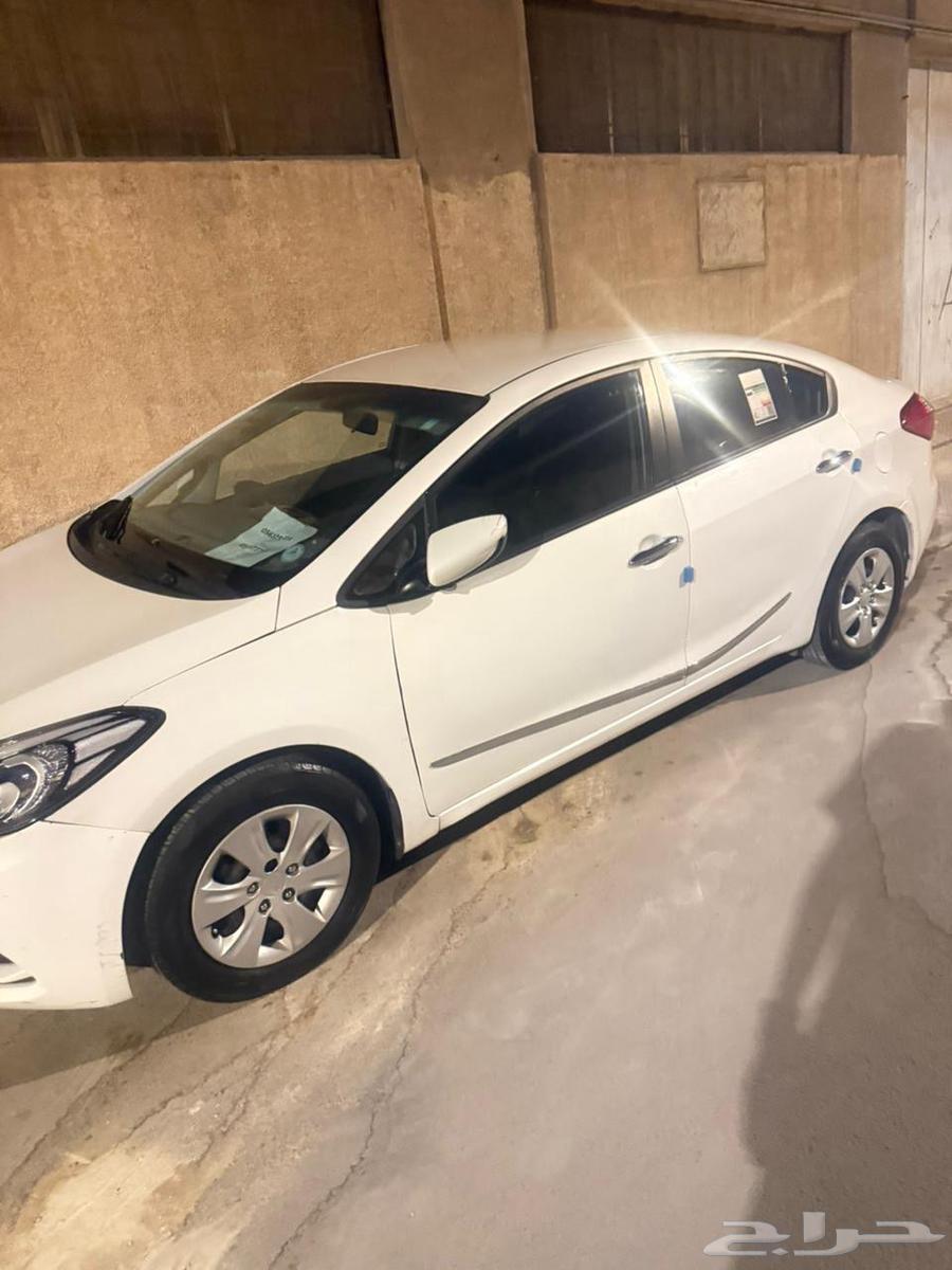 Cerato 201663655059659011112