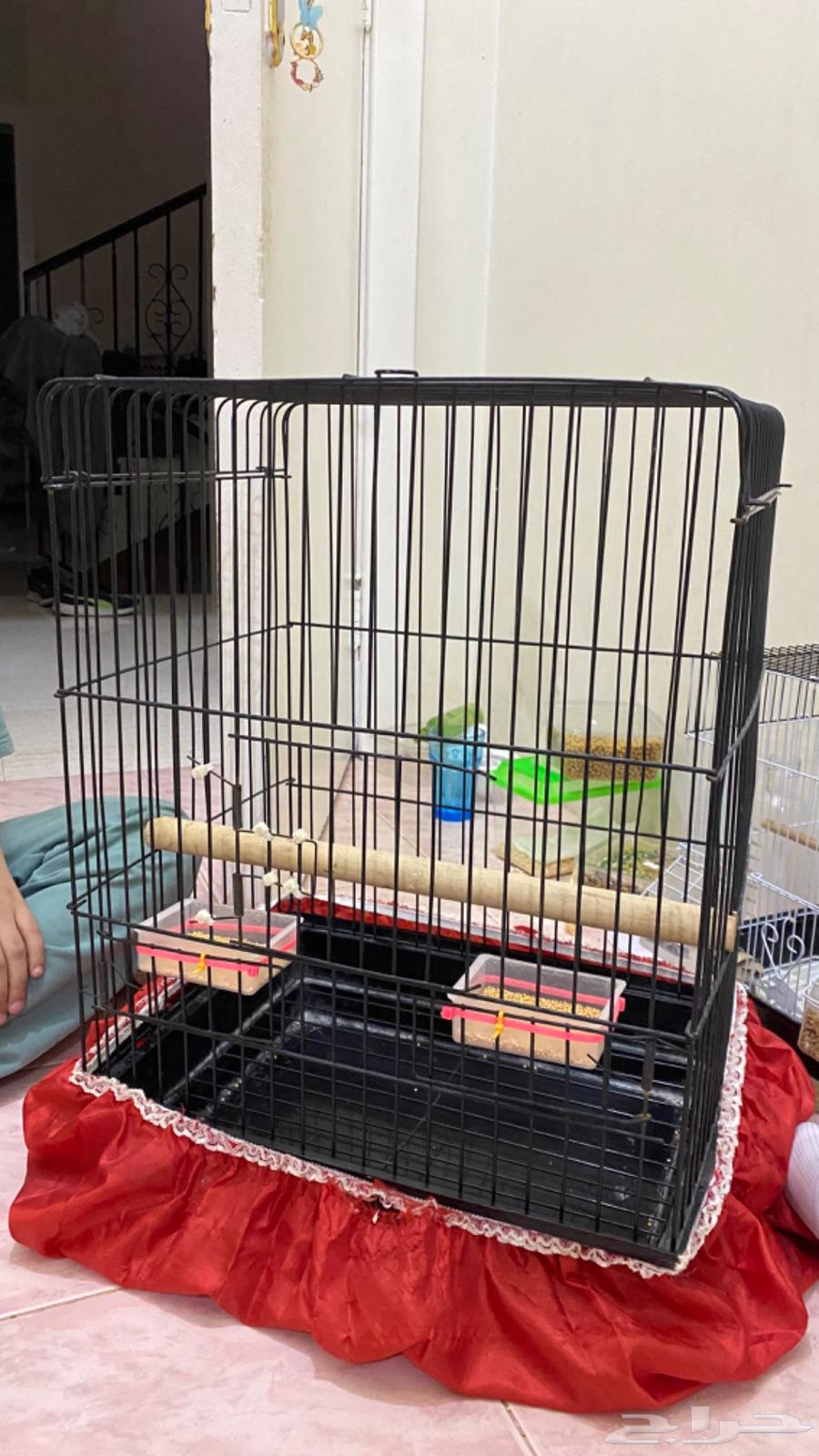 Large Kasko birdcage63623715674882111