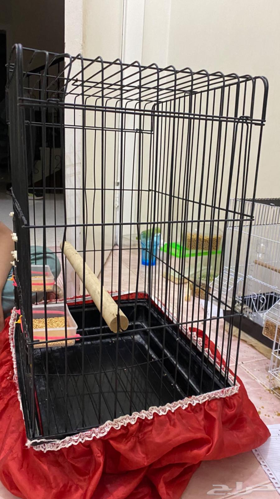 Large Kasko birdcage63623715674882112