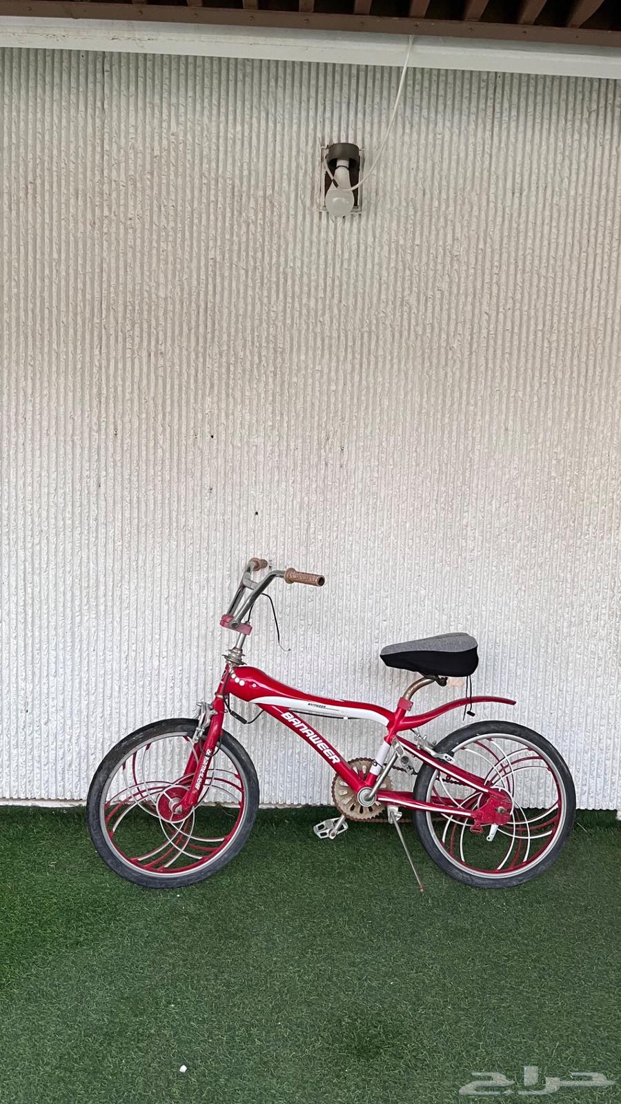 Cobra bicycle for sale, wholesale or retail63623798536705112