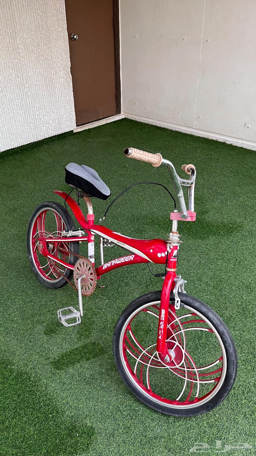 Cobra bicycle for sale, wholesale or retail63623798536705113