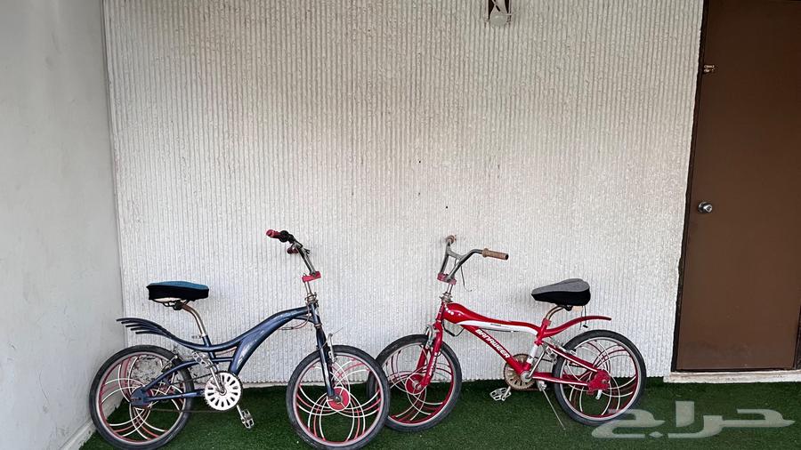 Cobra bicycle for sale, wholesale or retail63623798536705111