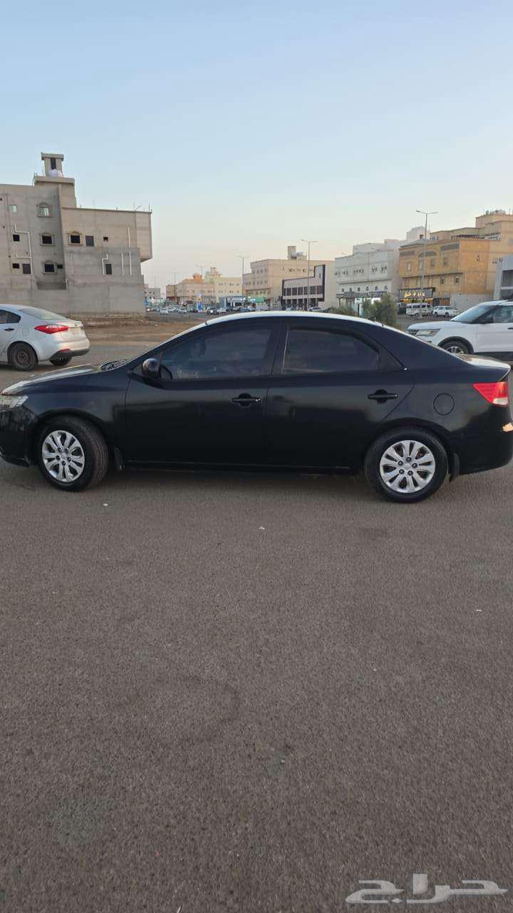 كيا سيراتو 201363655074650241112