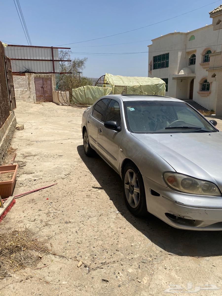 Maxima 200463655956647298114