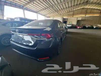 Corolla 202563667645157891111