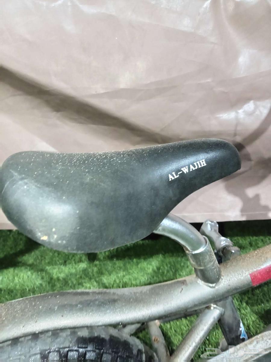 Clean Cobra 14-inch bicycle for sale63655613768323110
