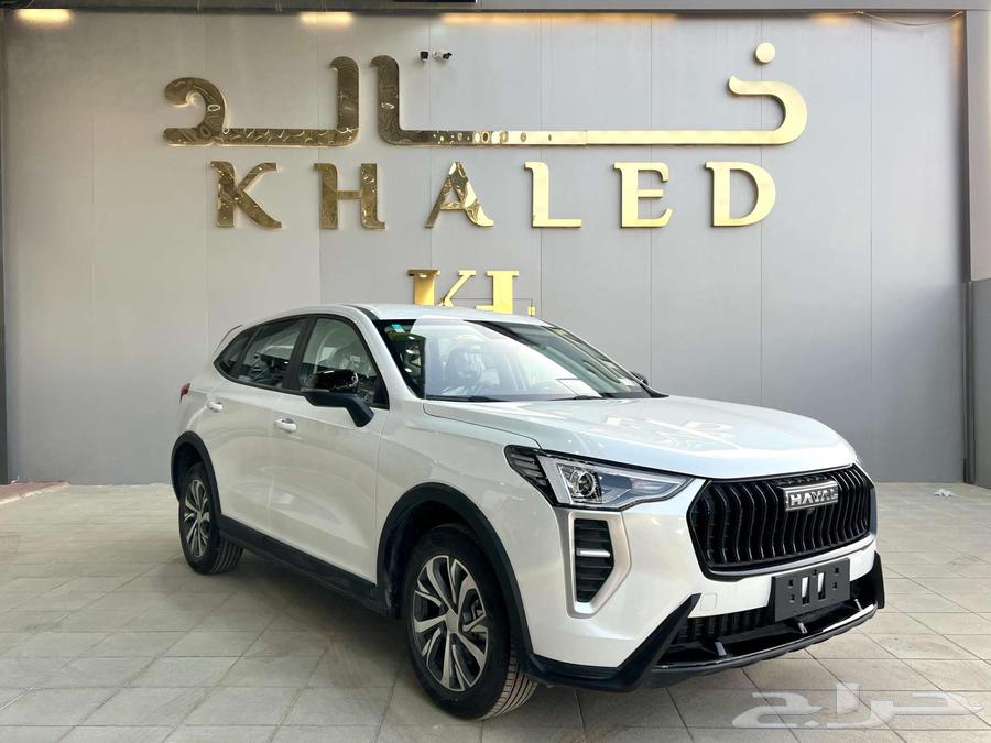 Haval Julian Standard 2025 Lowest Price63675922253954112