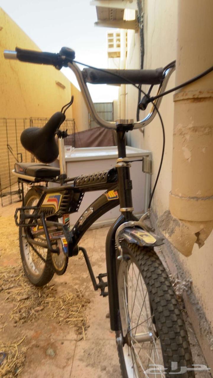 للبيع سيكل رامبو63657327928321112