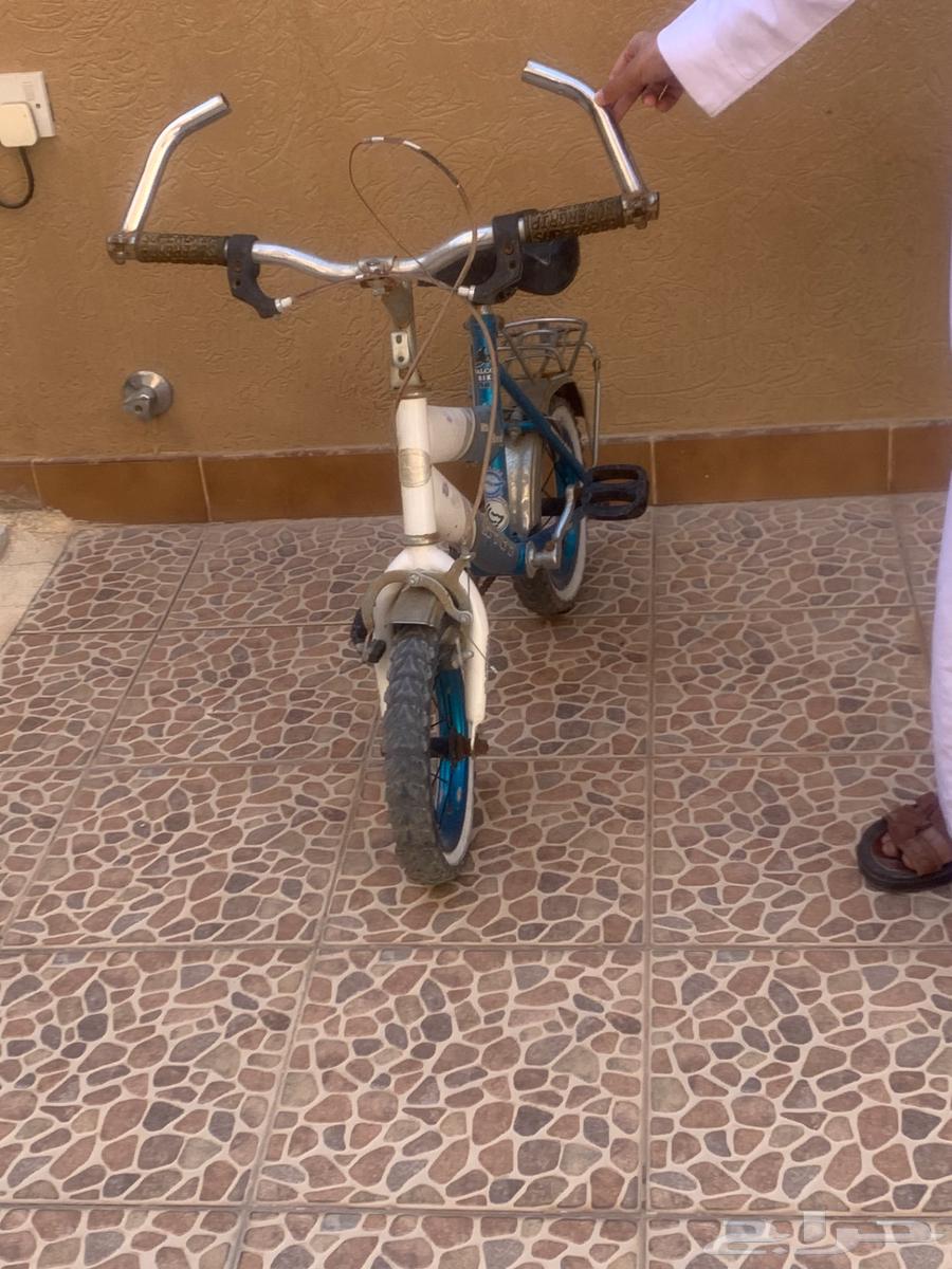 Bicycle for sale63655711892611111