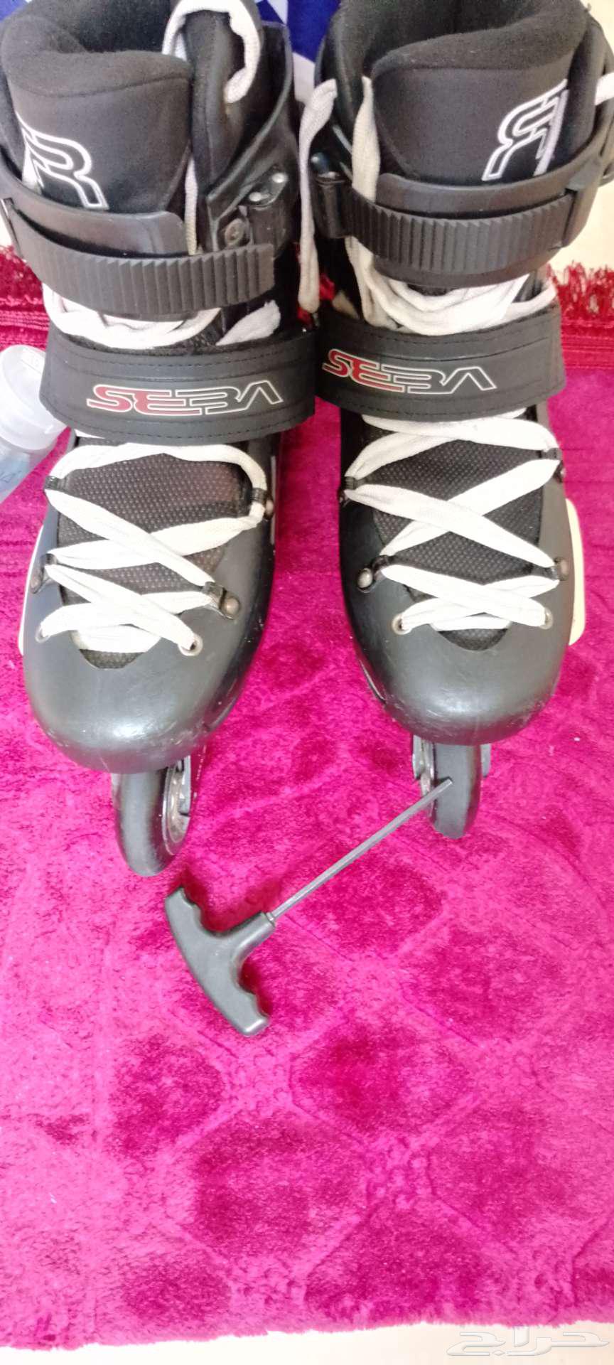 Skateboard63667687113219113
