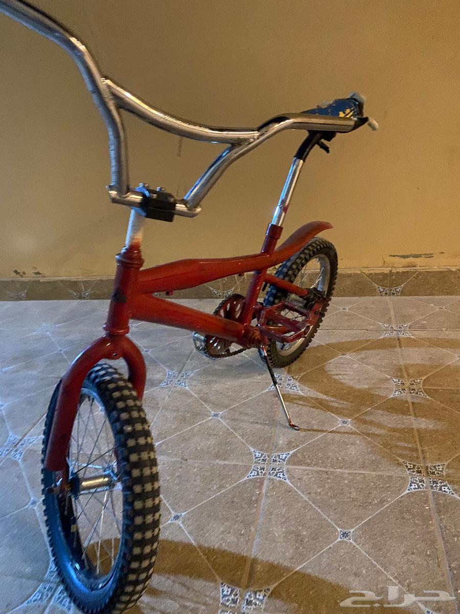 Cobra Anabi size 1663667804000001112