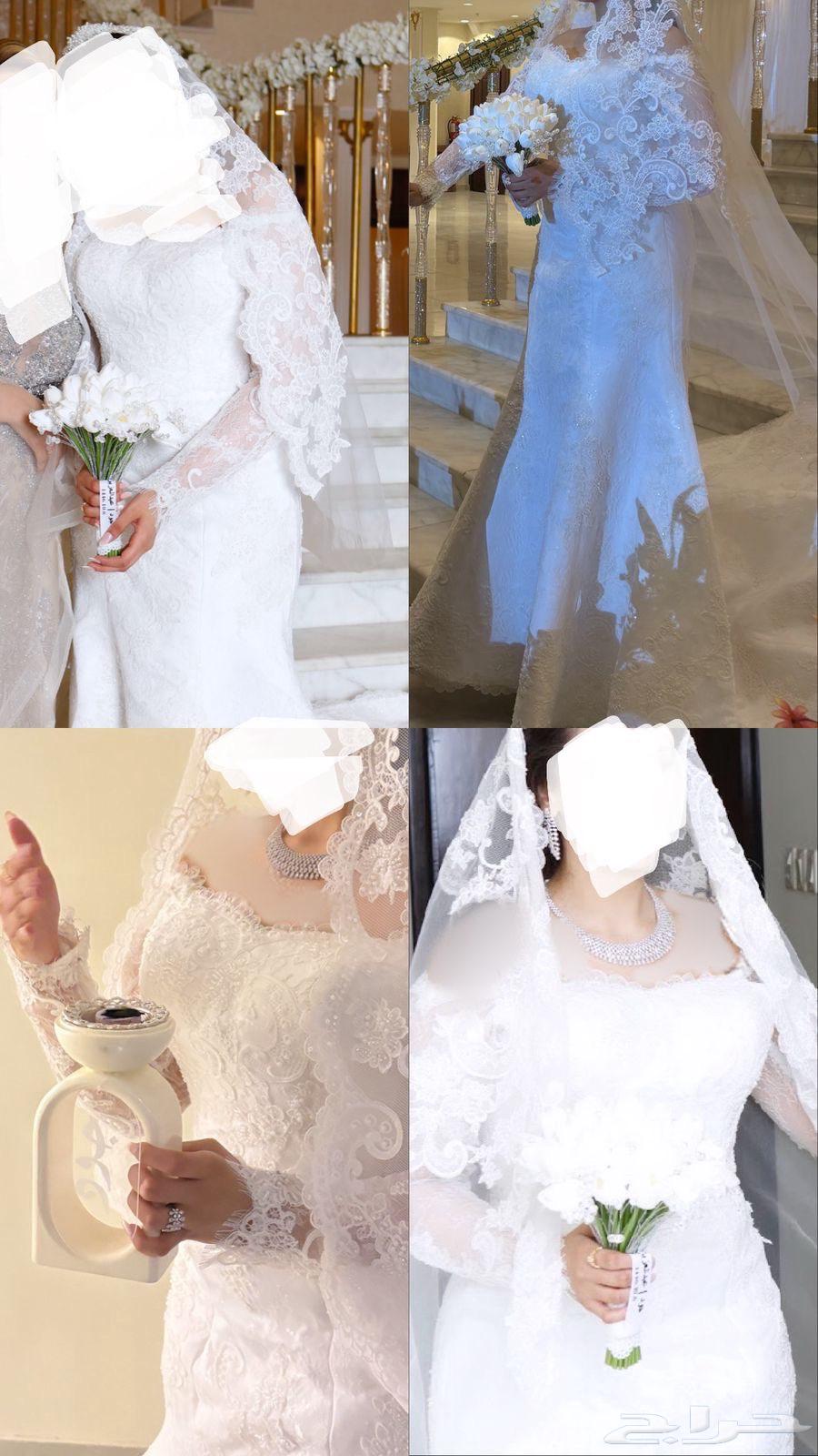 Soft Lace Wedding Dress63667549115779110
