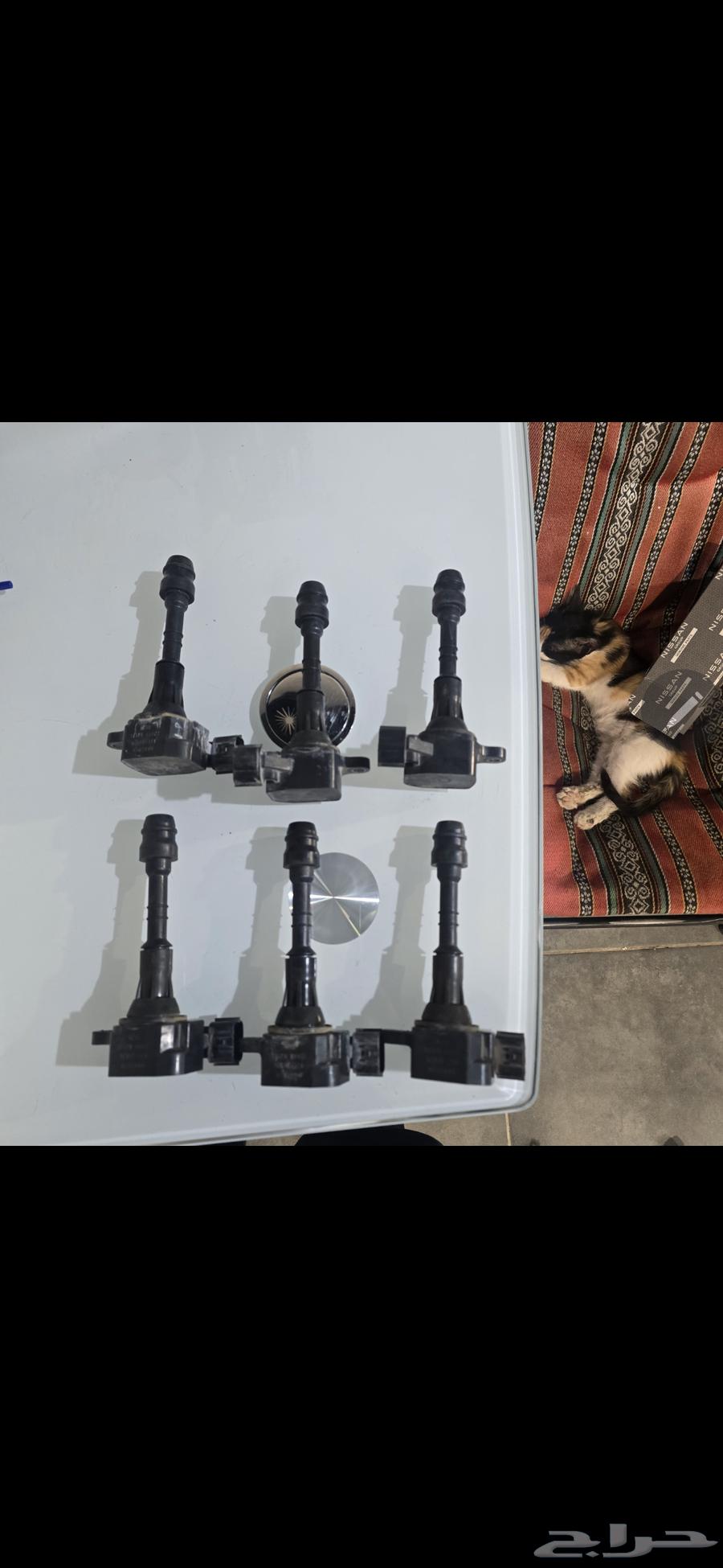Extra and Pathfinder 4.0 Clean Coils63702485283075110