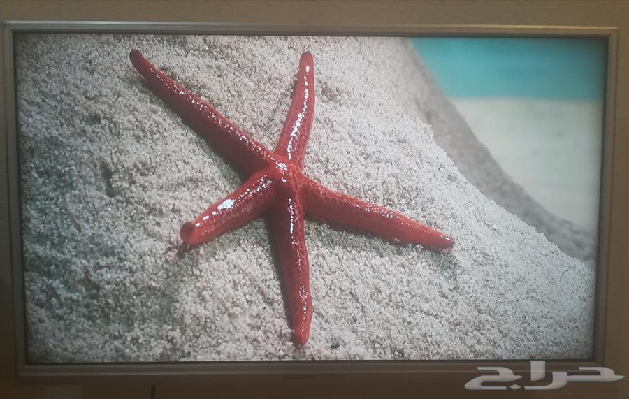 40-inch LED screen63667692182530111