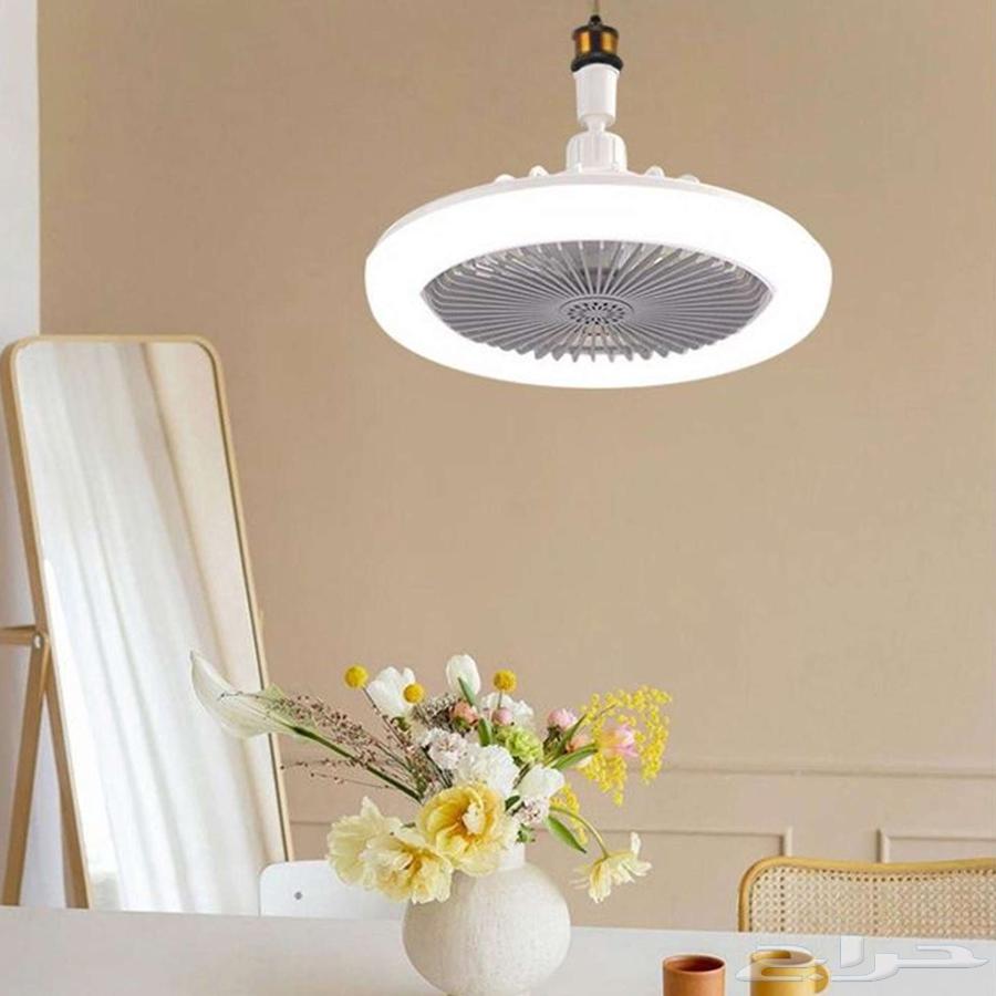 Modern Fan and Lighting63667687301634112