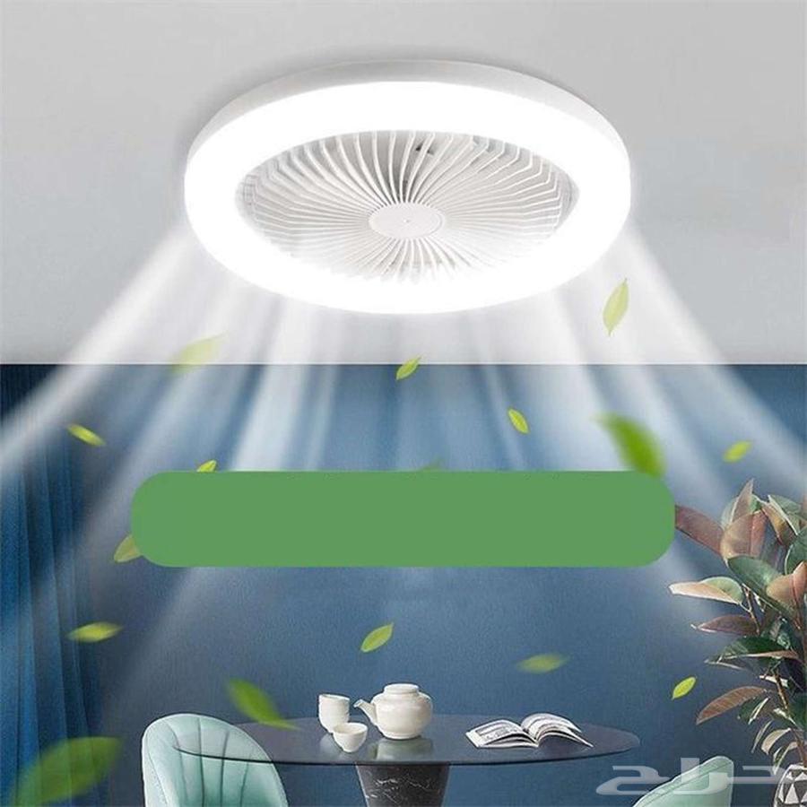 Modern Fan and Lighting63667687301634113
