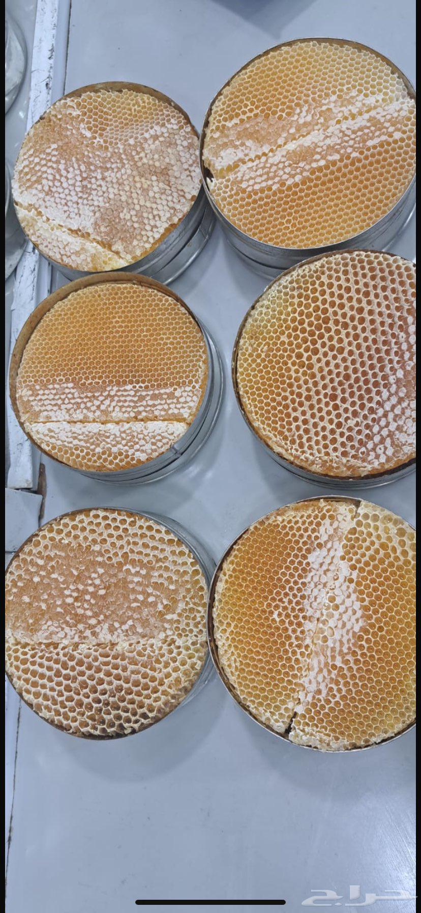 عسل سدر دوعني وعسل السمرة درجة اولى63670533168129113