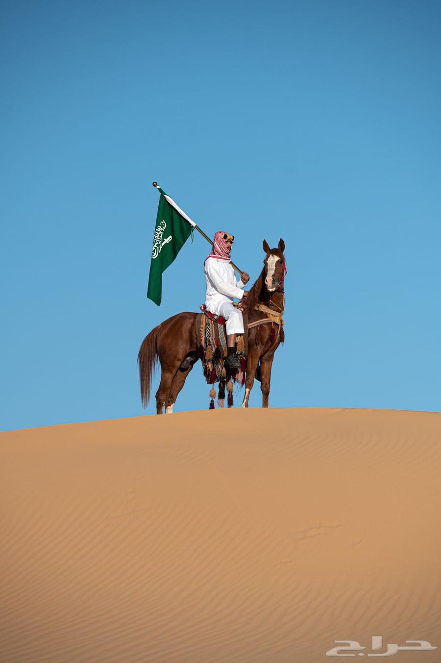 خيول شعبيه63676908146433111