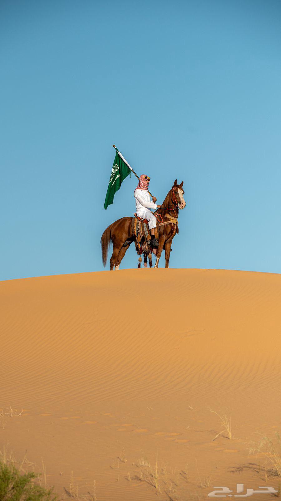 خيول شعبيه63676908146433110