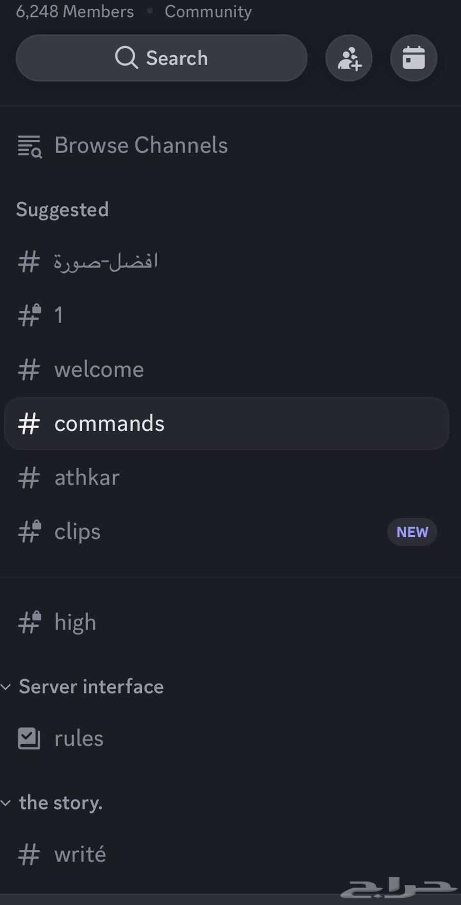 سيرفر ديسكورد للبيع63673995862145110