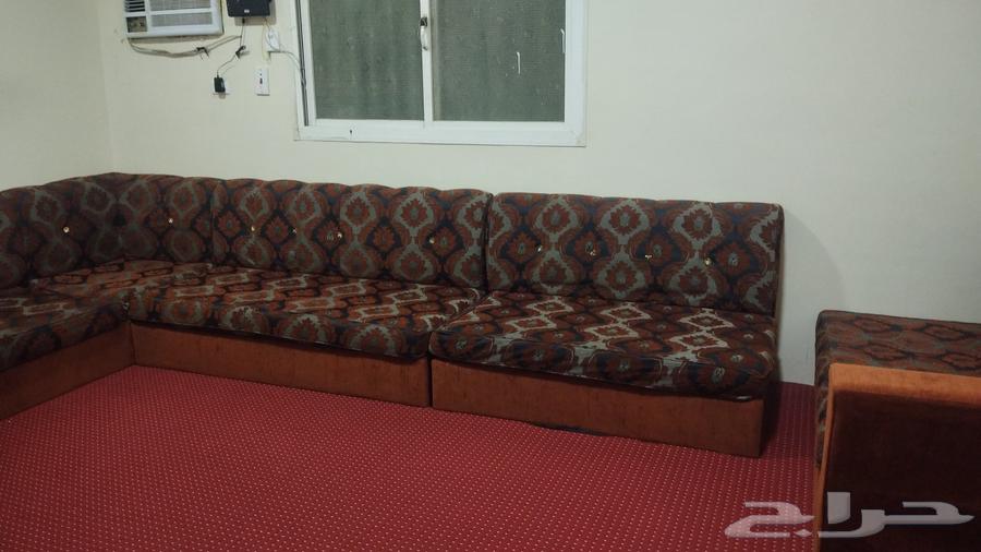 There is a clean sofa and a washing machine in very good condition63673562129665113