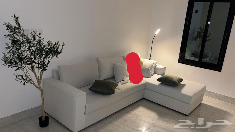 Sofa, only needs reupholstering63674898028545111