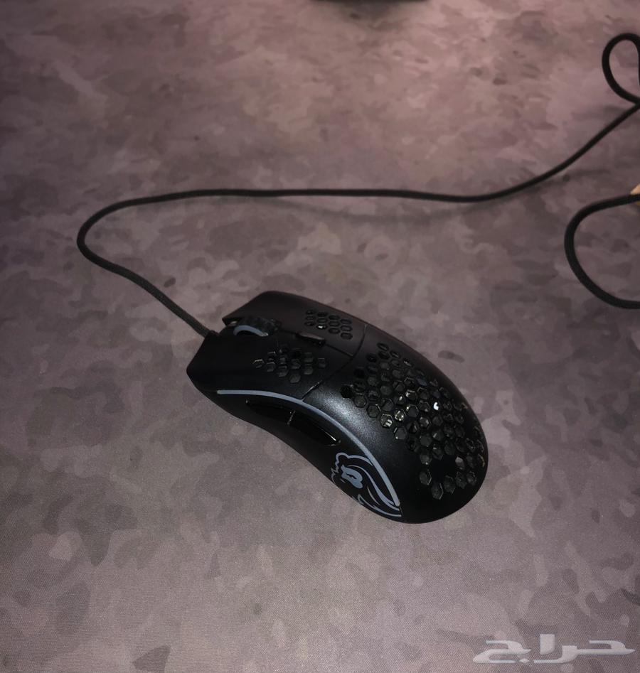 Glorious Model D Mouse63676735517697111