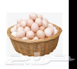 30 Free-Range Eggs Tray for 20 SAR, Al-Nawaraiya, Mecca63677764430849113
