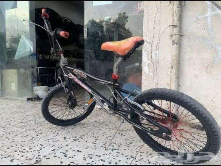 سيكل كوبرا مقاس20 للبيع رخيص جدا63699006656643110
