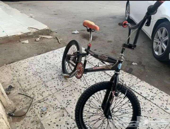 سيكل كوبرا مقاس20 للبيع رخيص جدا63699006656643111