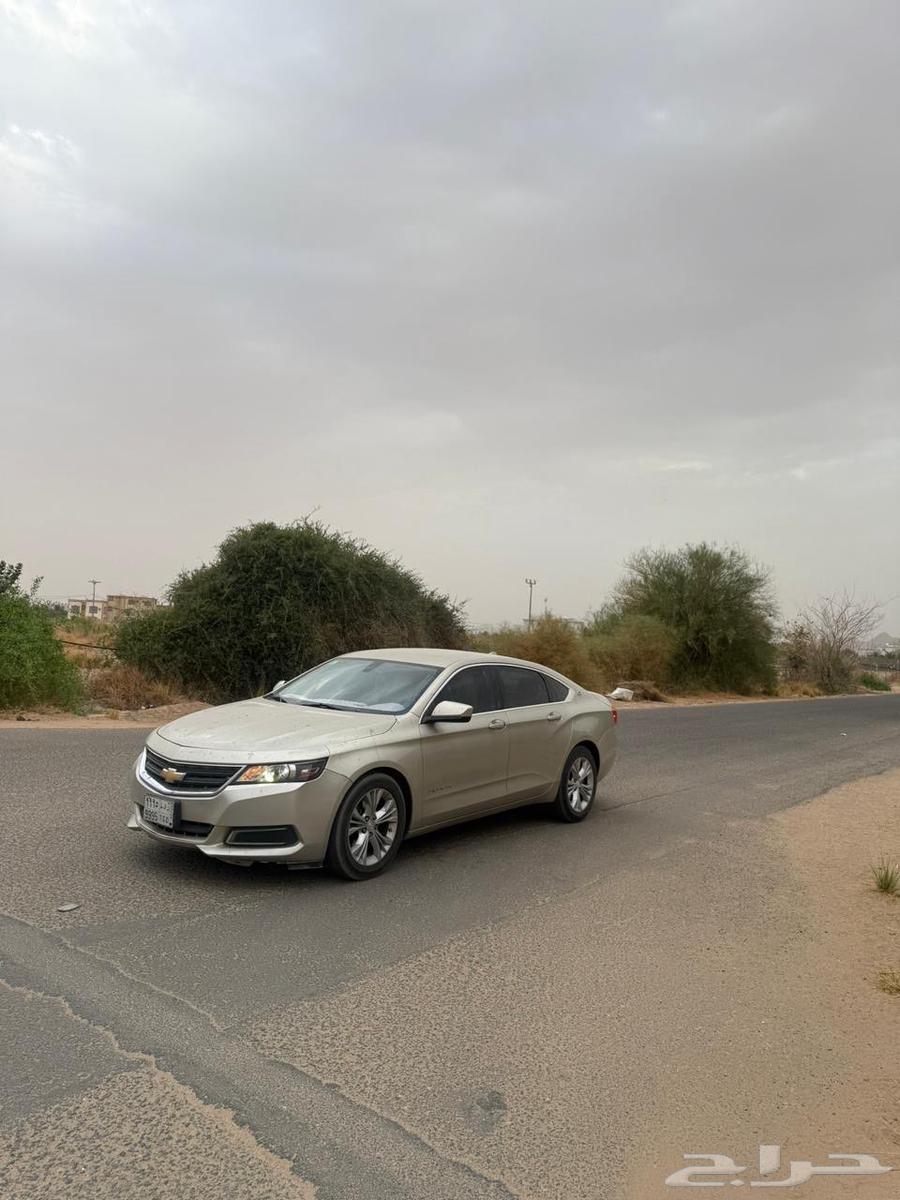 تم البيع   تم البيع63743744654595113