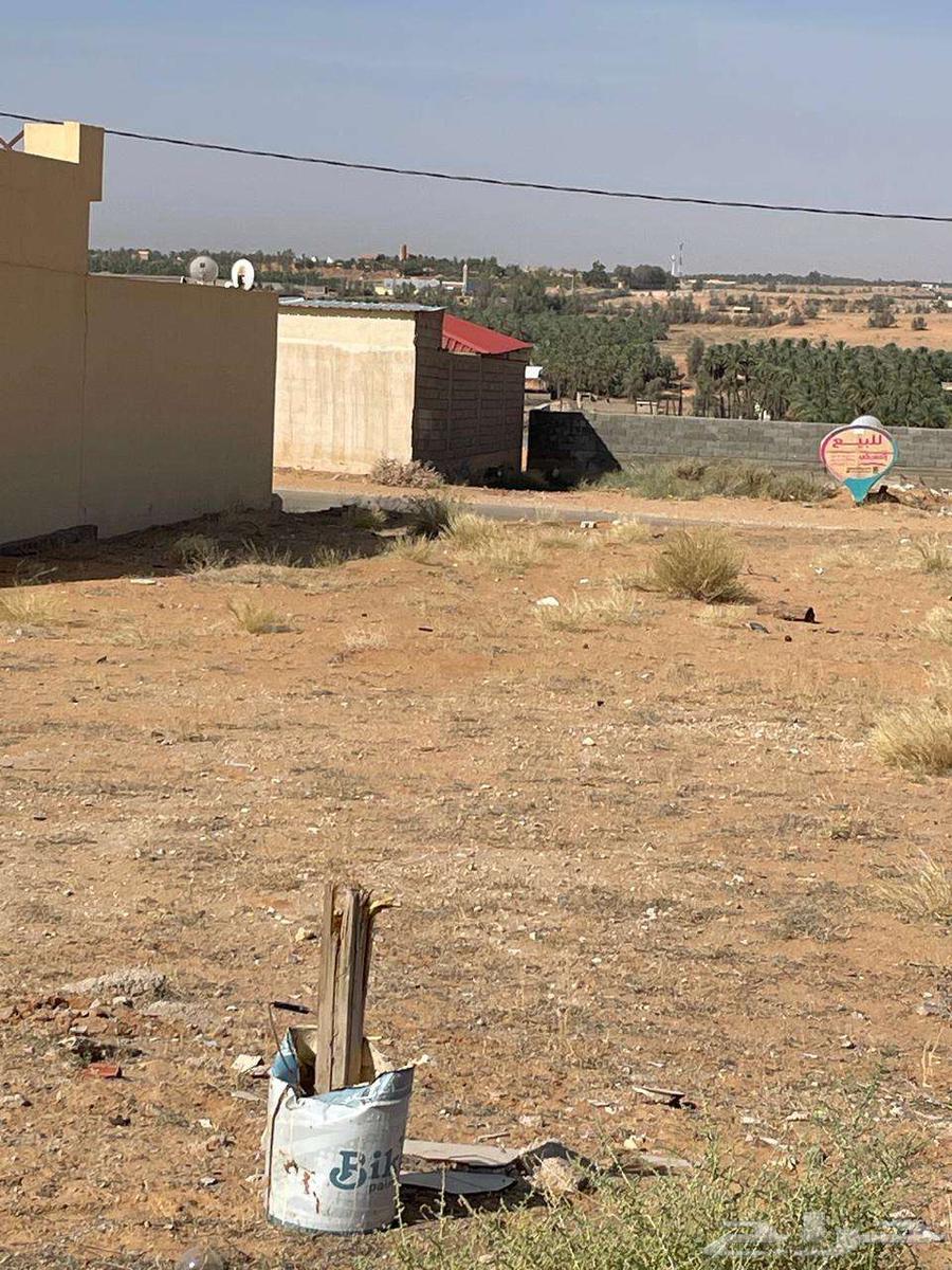 ارض للبيع