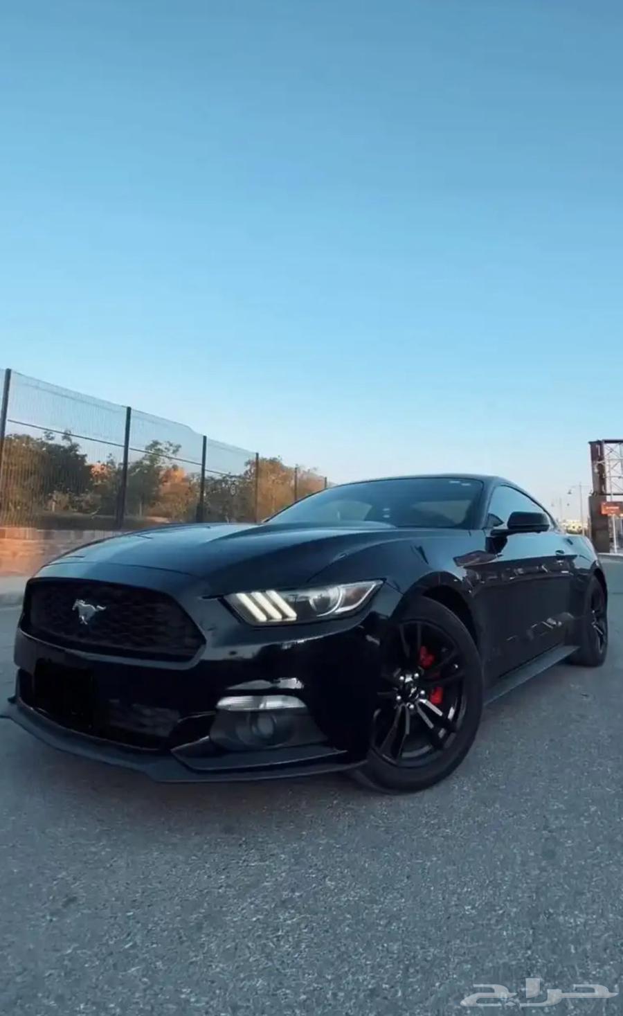 Mustang 2017 Eco Boost63989550061443113