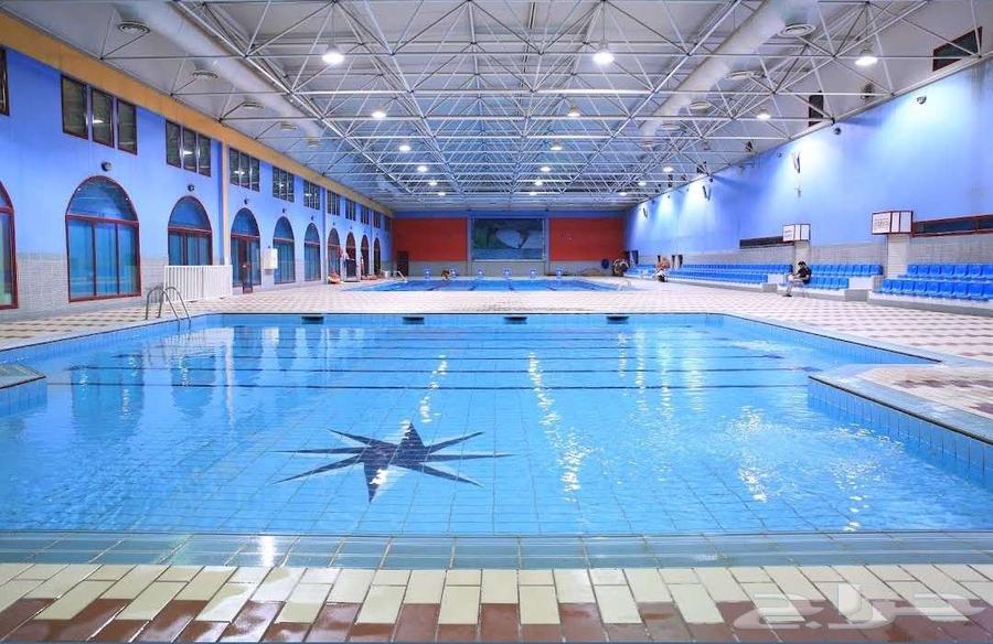 Swimming Training from Beginner to Professional63679744335489112