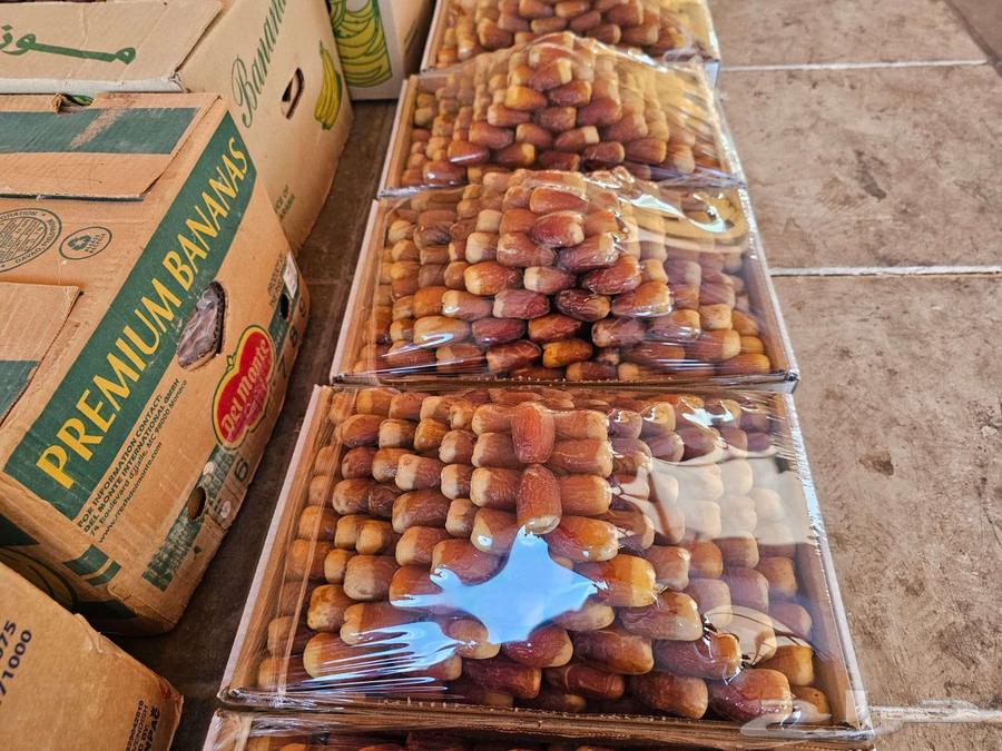 قريبا خرف و بيع صقعي من المزرعة63679333710595110