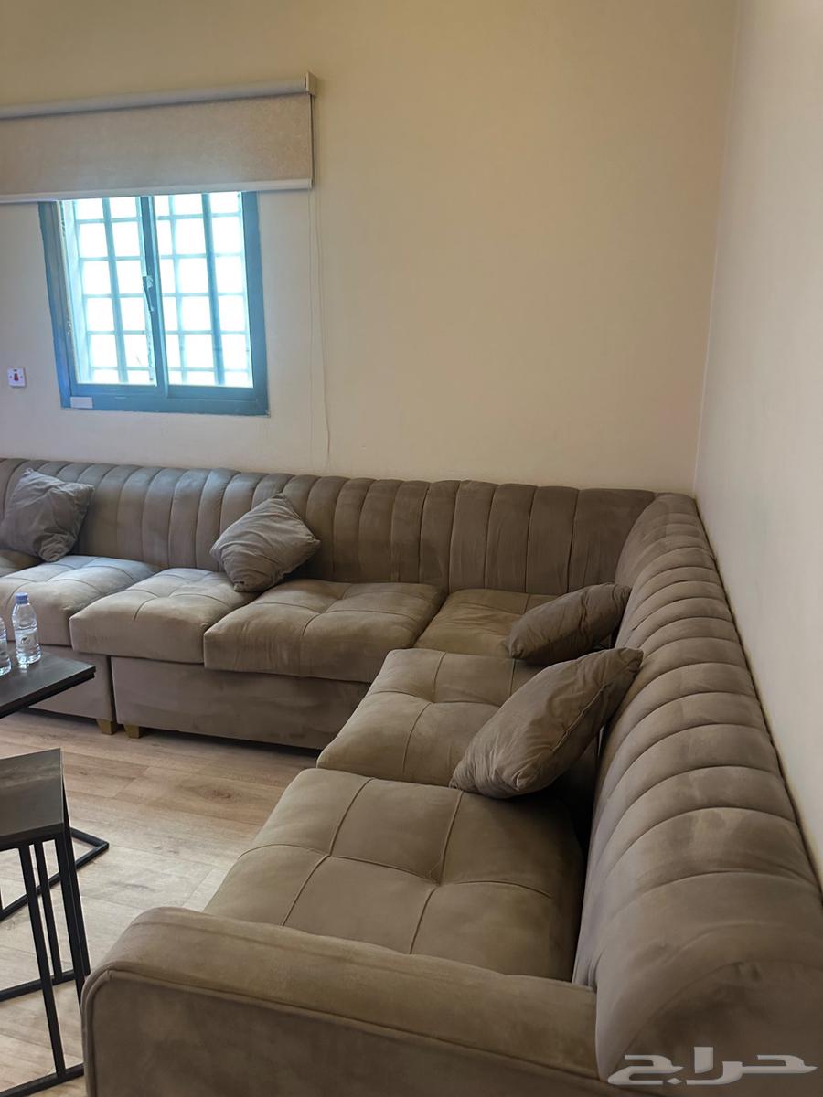 كتب حرف L نظيف جدا63699426078338110