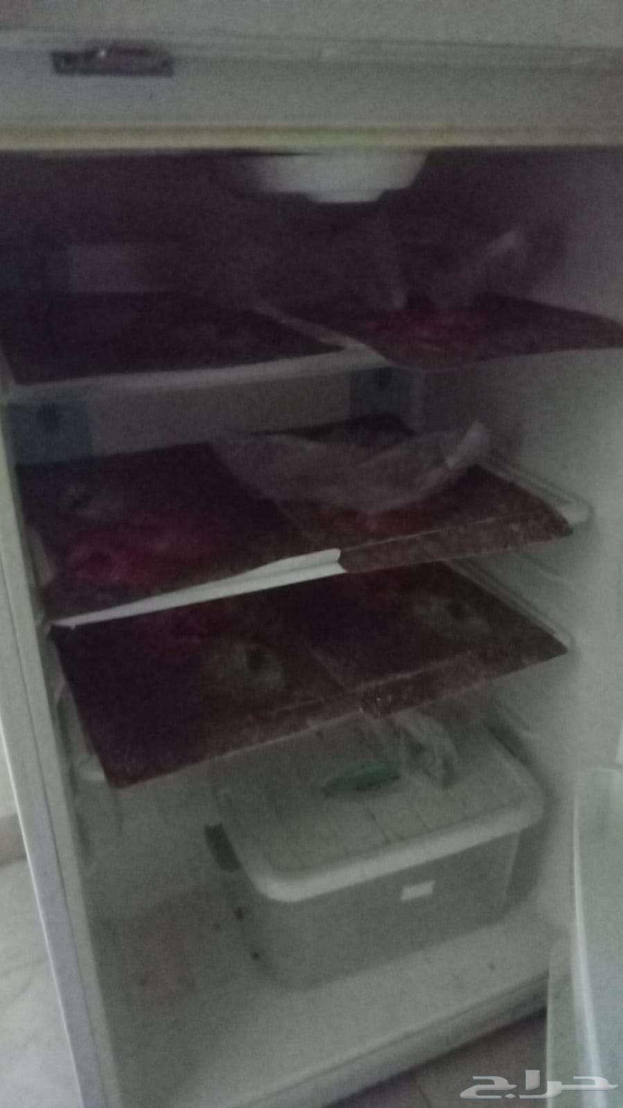 Fridge (ثلاجة)63699631598595110