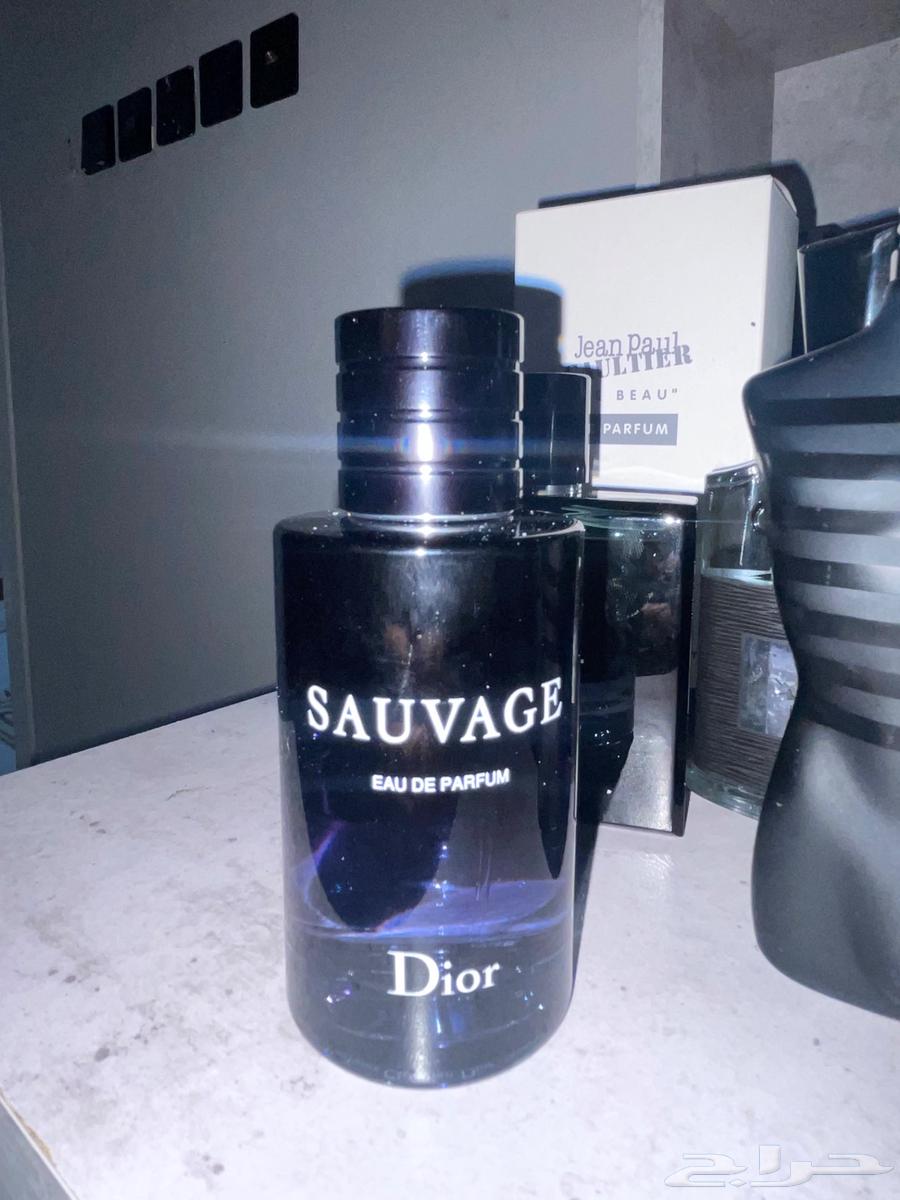 تصفية عطور أصلية للبيع63700369785603110