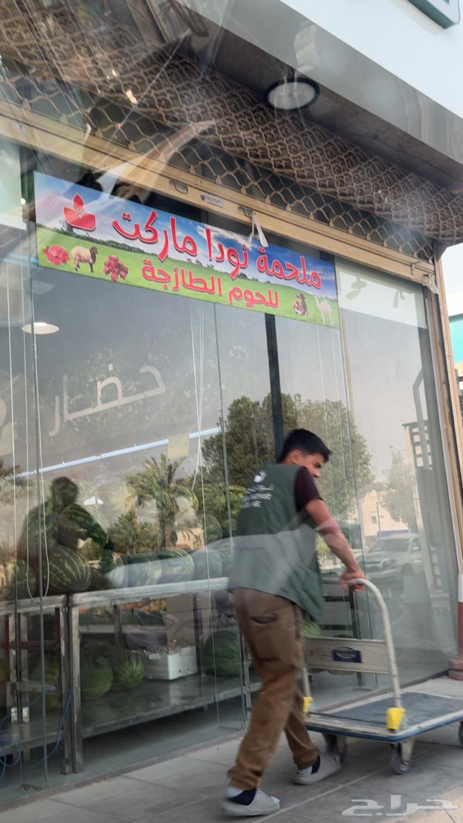 قعود للبيع زواج أو ثلاجة بالربع63707118084865110
